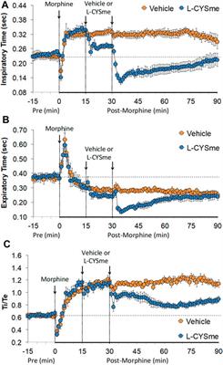 L-cysteine methyl ester overcomes the deleterious effects of morphine on ventilatory parameters and arterial blood-gas chemistry in unanesthetized rats